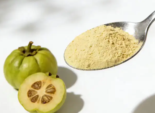 Garcinia cambogia extract ingredient